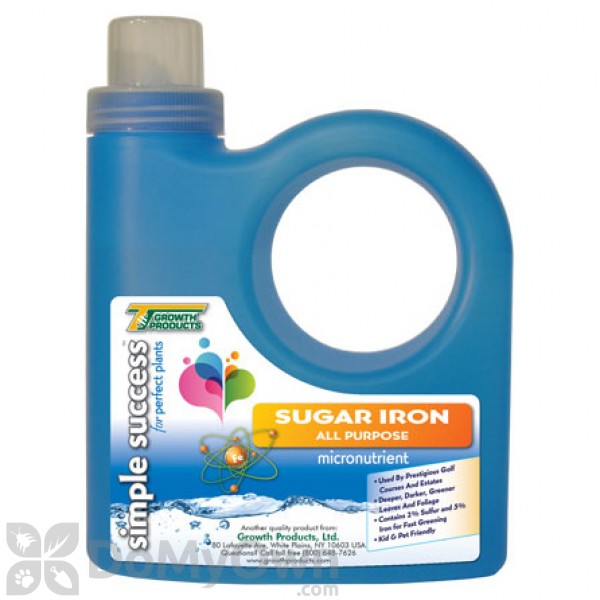 Simple Success Sugar Iron