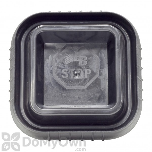 BB Stop Bed Bug Pitfall Trap