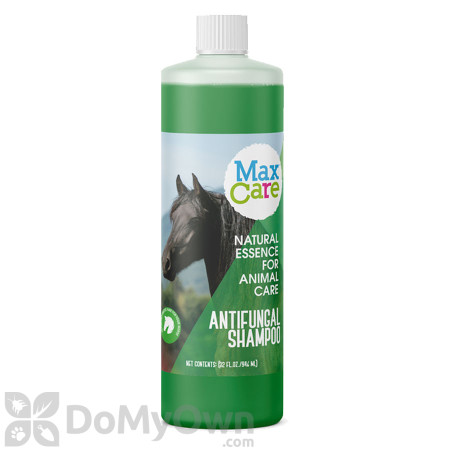 MaxCare Anti-Fungal Shampoo