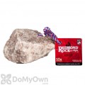 Redmond Rock on a Rope