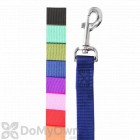 Boss Pet PDQ 1 in. x 48 in. Nylon Lead