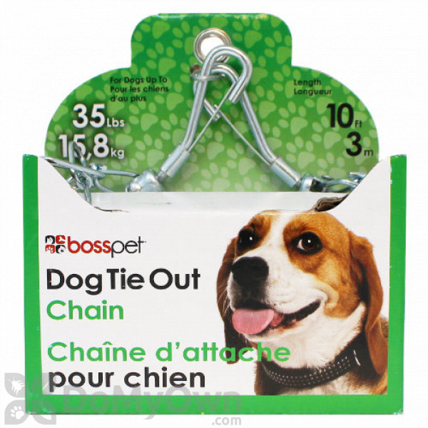 dog tie out chain