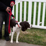 Alternate Image 2 Thumbnail