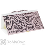 Alternate Image 2 Thumbnail