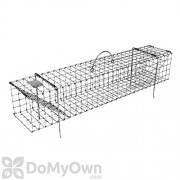 202C Collapsible Colony Muskrat Size Live Trap