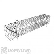 203C Large Collapsible Colony Muskrat Size Live Trap