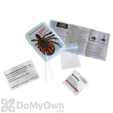 Alternate Image 1 Thumbnail