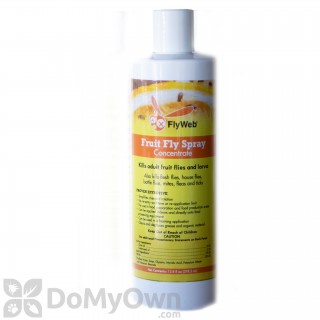 Gardner Flyweb Fruit Fly Concentrate