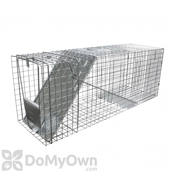 cage trap