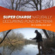 Crystal Blue Natural Pond Cleaner