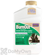 Bonide Burnout Concentrate