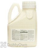 Alternate Image 1 Thumbnail