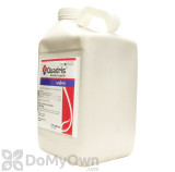 Alternate Image 1 Thumbnail