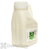 Alternate Image 1 Thumbnail