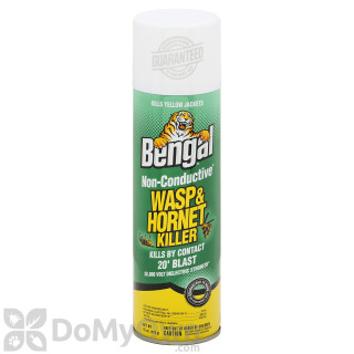 image of Bengal Wasp and Hornet Killer
