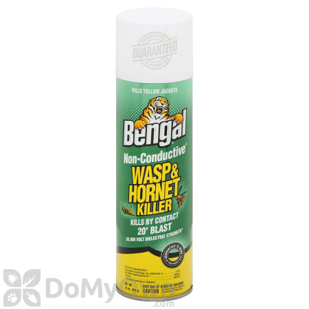 Bengal Wasp and Hornet Killer