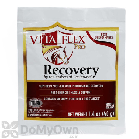 Vita Flex Pro Recovery Supplement