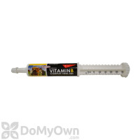 Durvet Vitamin B Complex Oral Gel