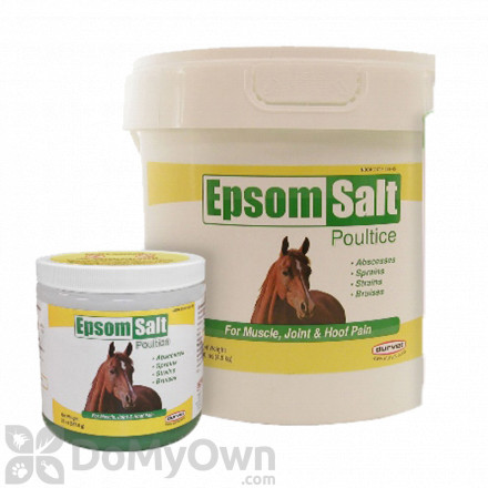 Betadine Ointment for Horses - DocHorse
