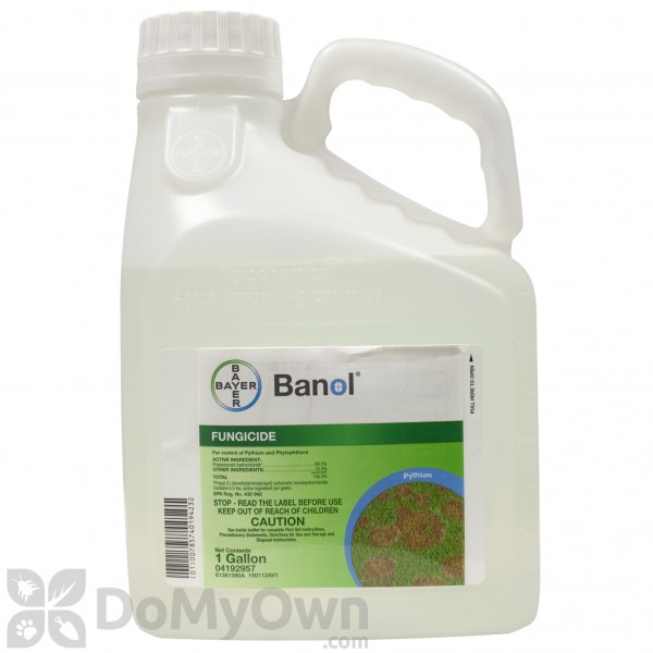 Semillas Batlle, Anti-Oid Fungicide 500g : : Garden