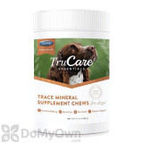 TruCare Essentials Trace Mineral Supplement Chews for Dogs - 90 ct