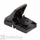 Trapper T-Rex iQ Rat Trap