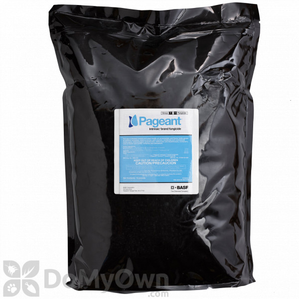 Pageant Intrinsic Brand Fungicide - 12 Ib - California 