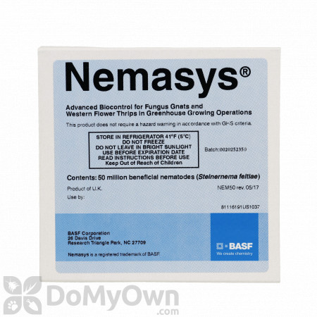 Nemasys Beneficial Nematodes (250 million nematodes)