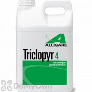 image of Alligare Triclopyr 4 Herbicide - Quart - CASE