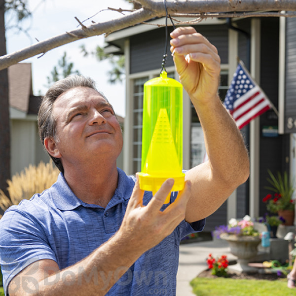 RESCUE Yellow Jacket Trap