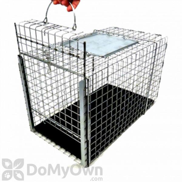 Cat transfer shop cage