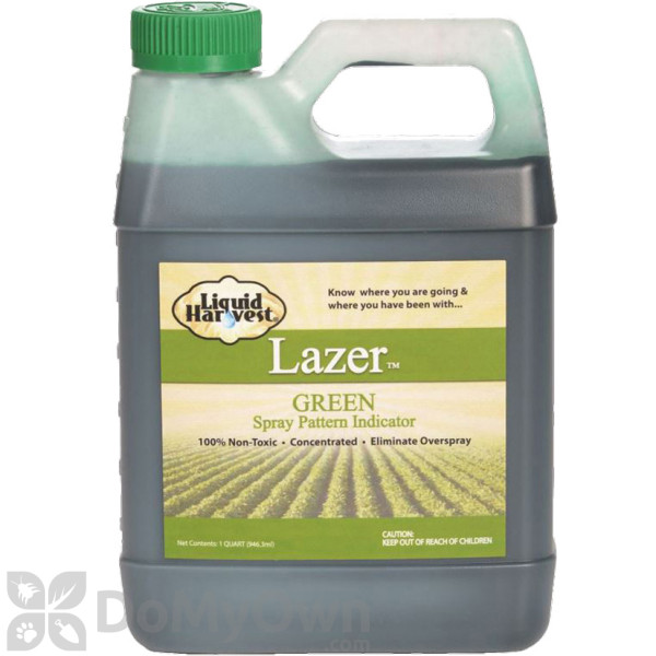 Lazer Spray Pattern Indicator - Green