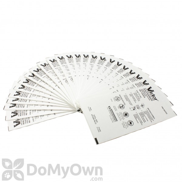 Victor M319 Glueboards for Rats 24 Boards