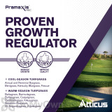 Alternate Image 2 Thumbnail