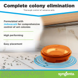 Alternate Image 1 Thumbnail