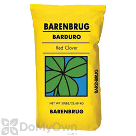 Barenbrug Barduro Red Clover with Yellow Jacket