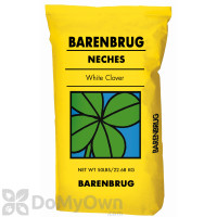 Barenbrug Neches White Clover