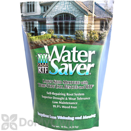 Water Saver with RTF Turf Type Tall Fescue