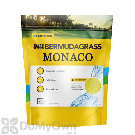 Monaco Bermudagrass