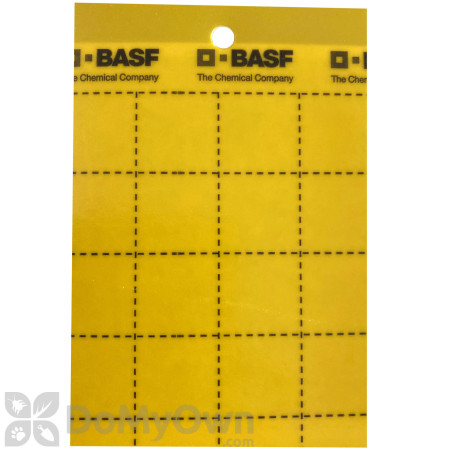 Sensor Yellow Pest Monitoring Cards - CASE