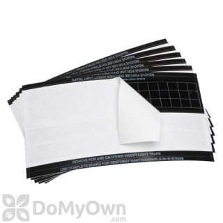 image of PestWest Universal Glue Boards - Black
