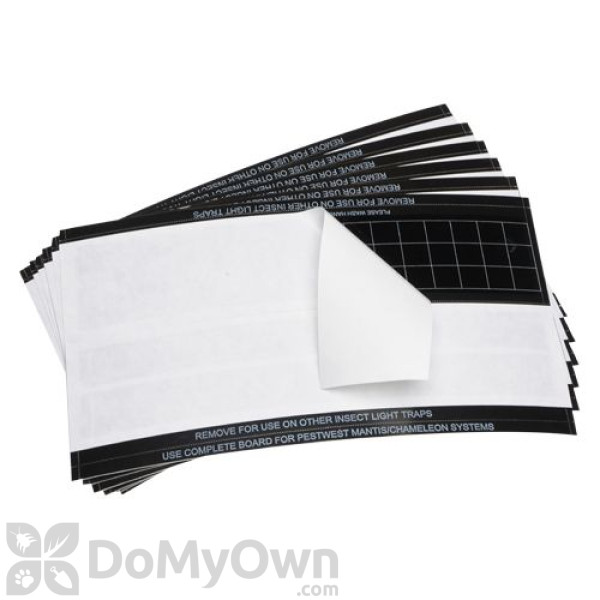 PestWest Universal Glue Boards - Black - CASE