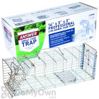 JT Eaton Answer Cage Trap for Chipmunks, Rats, Voles, and Smaller Animals (497N)