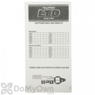 image of Trapper LTD Mouse/Insect Glue Boards - CASE (72 boards)