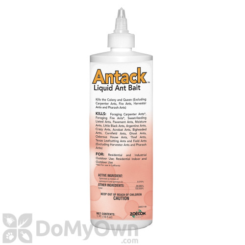 24003-Antack-Liquid-Ant-Bait.