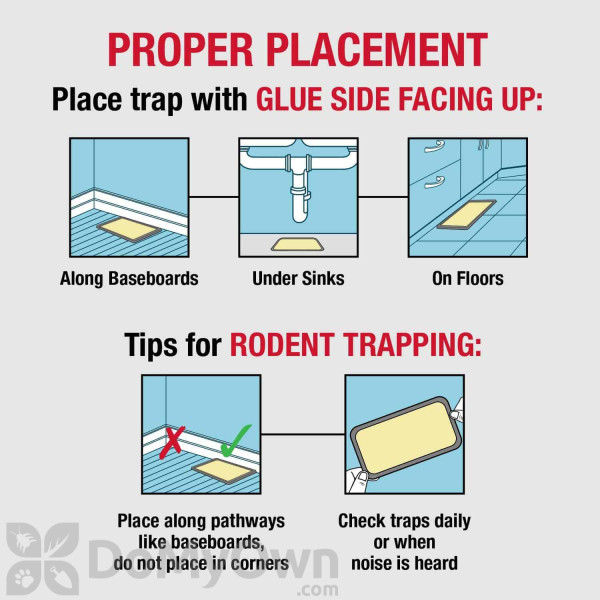 Catchmaster Baited Rat Mouse and Snake Glue Traps - 12 Glue Trays