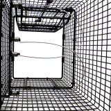 Alternate Image 1 Thumbnail