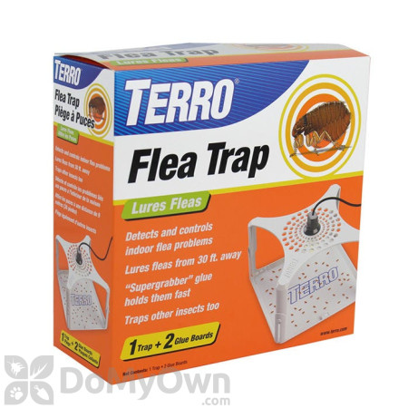 Terro Refillable Flea Trap