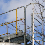 Alternate Image 2 Thumbnail