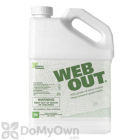 Web Out Cobweb Eliminator - Gallon